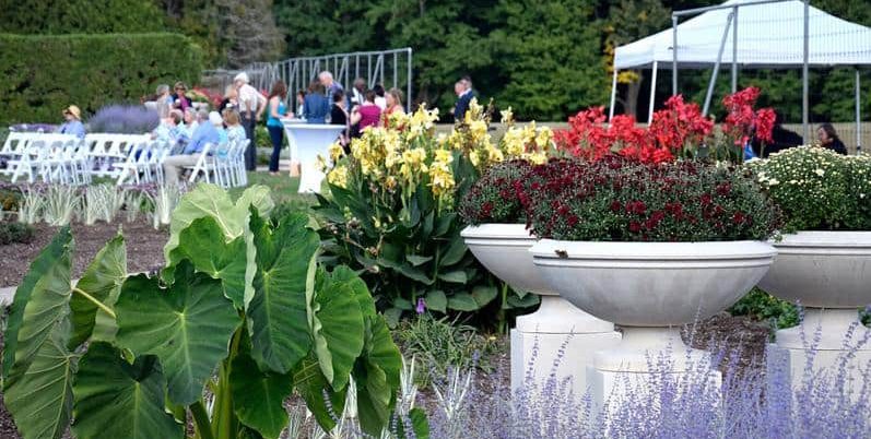 Bulb Garden