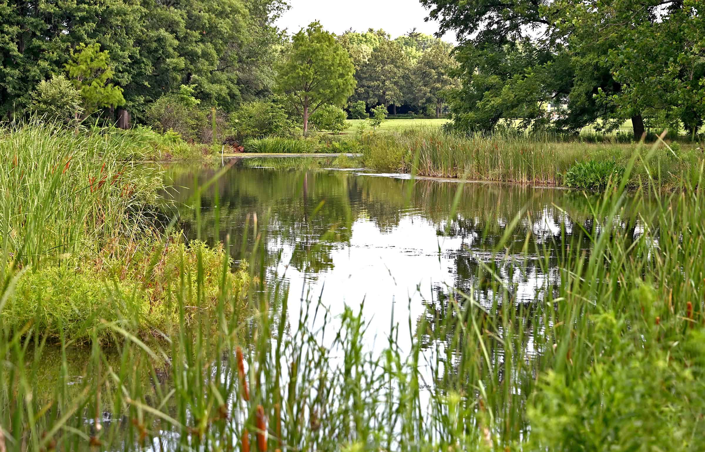 Progress being made at Illinois Arboretum
