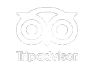 Trip Advisor logo