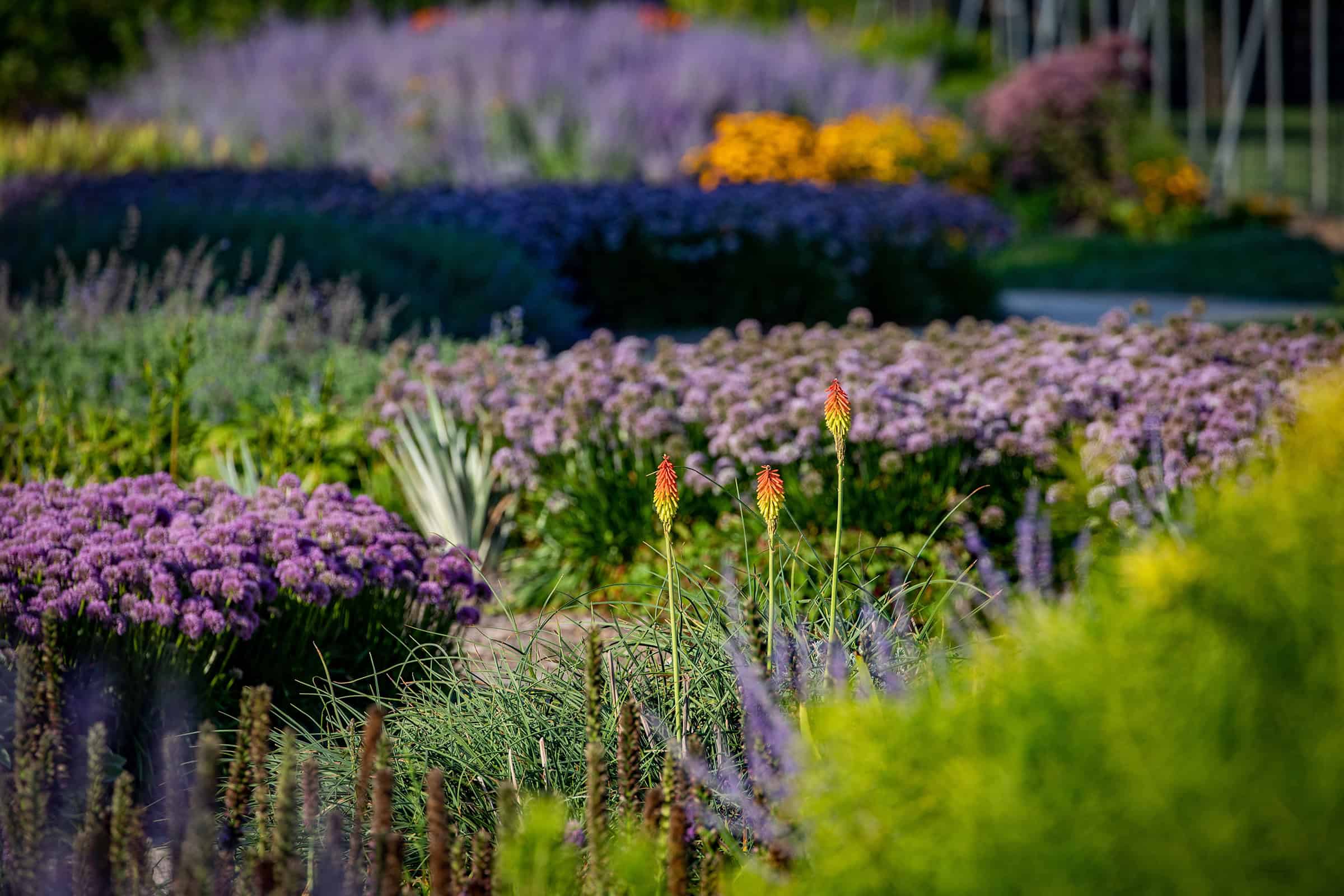The Gardens