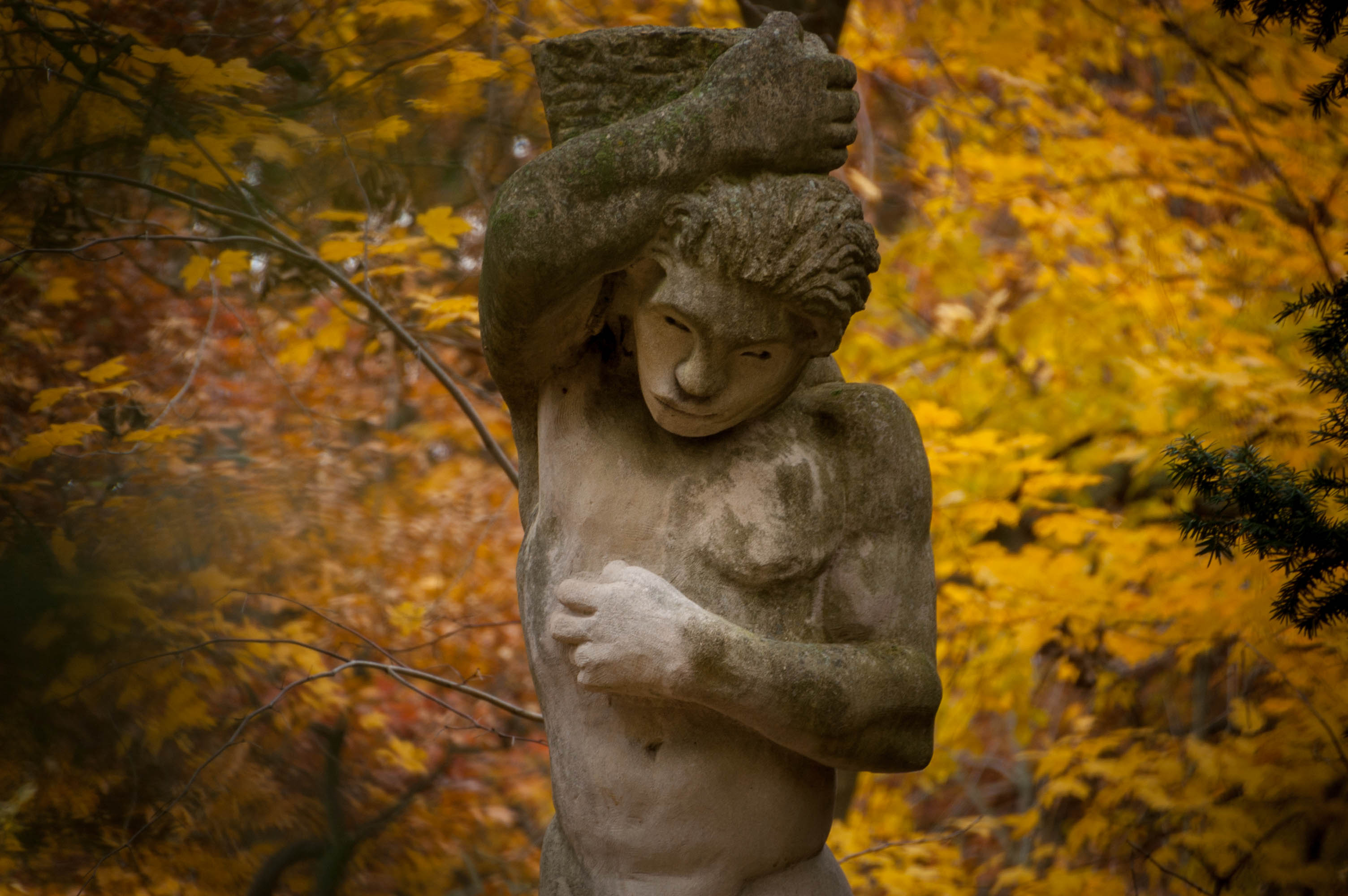 Allerton autumn 2013 15